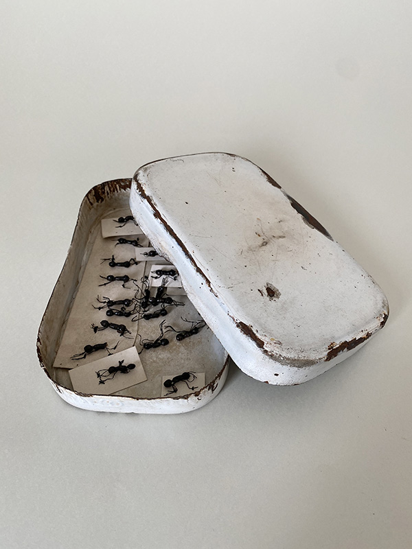 FAKE ANTS AND ENAMELED WARE