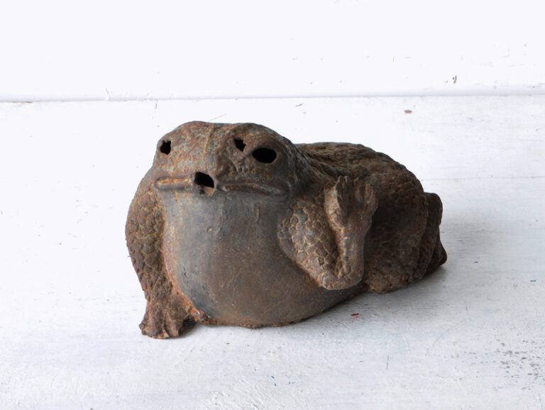 IRON TOAD