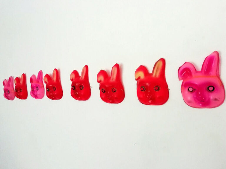 RABBITS IN A ROW