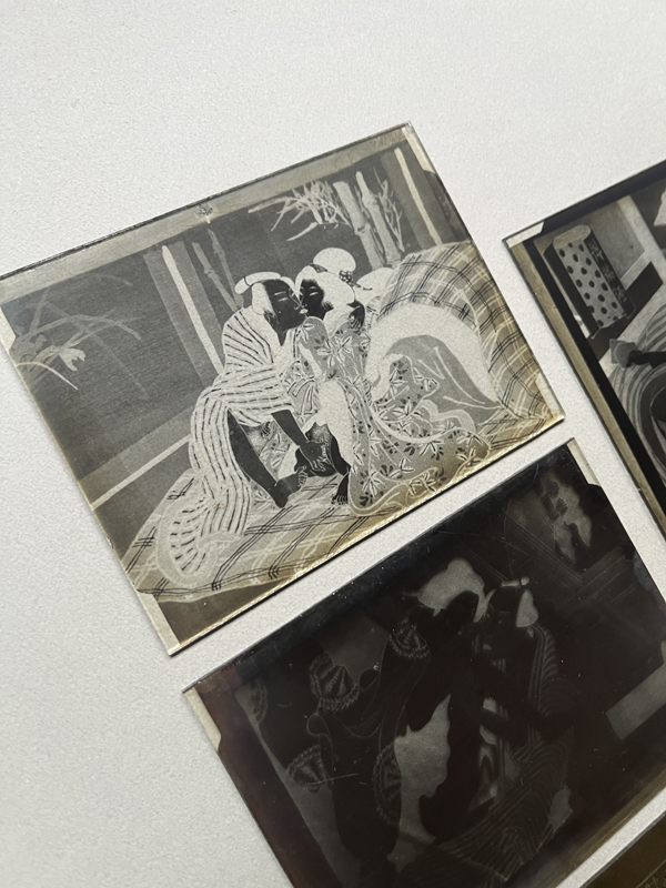 PHOTOGRAPHIC GLASS PLATES OF SHUNGA