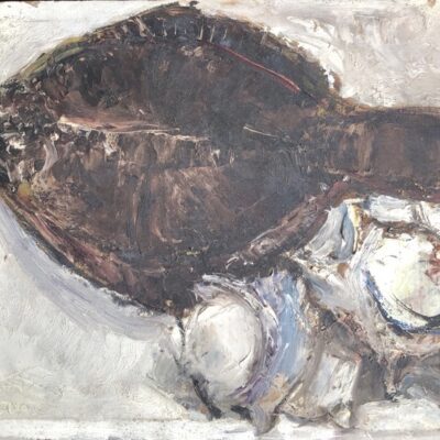 FLATFISH AND TURBAN SHELLS