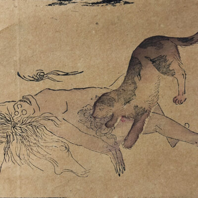NINE STAGES OF A DECOMPOSING BODY