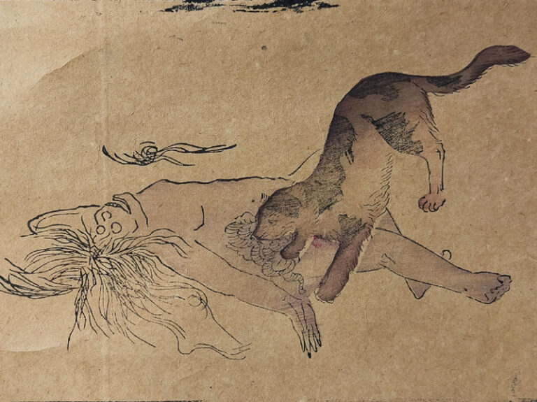 NINE STAGES OF A DECOMPOSING BODY
