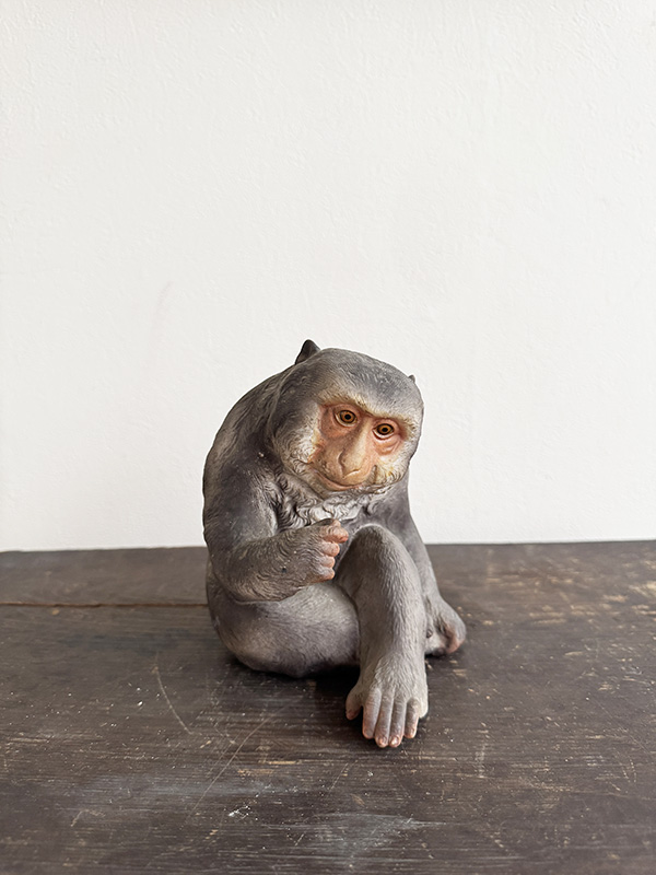 SERIOUS-FACED MONKEY