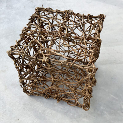 VINE CUBE