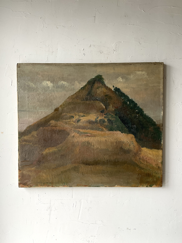 MOUNTAIN WITH A TORII