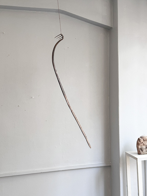 EEL HOOK